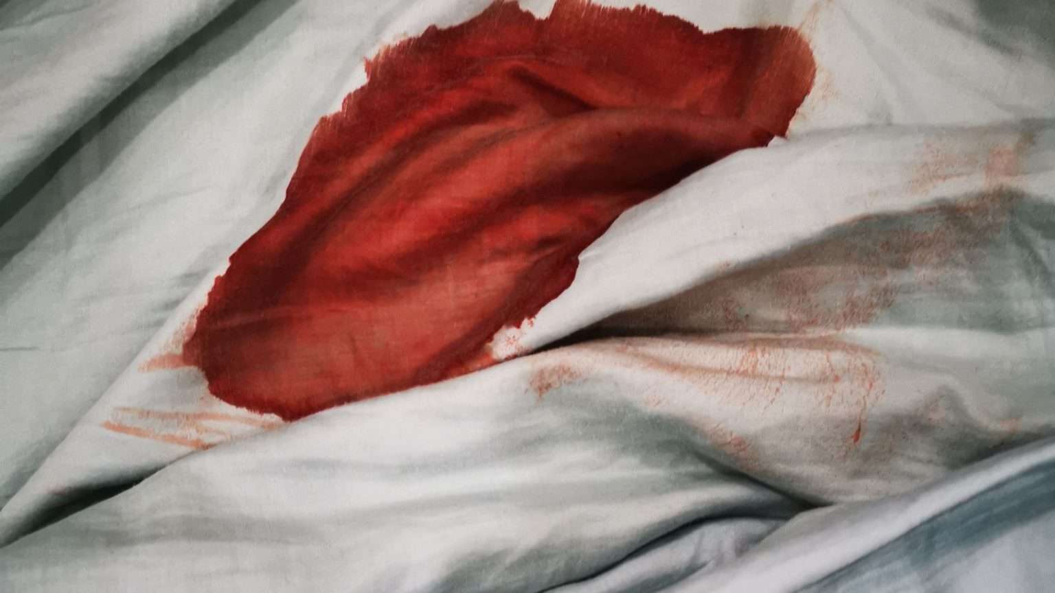 Spiumatore Elettrico Per Polli - Potente E Pratico Per Uso Domestico E Professionale